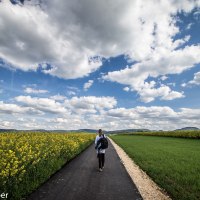 Eine Person wandert auf einem asphaltierten Weg zwischen gelben Blumenfeldern und grünem Gras unter einem blauen Himmel mit weißen Wolken., © Foto: Mario Klaiber