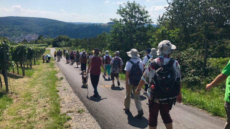 Pilgergruppe wandert auf einem Weg durch grüne Landschaft mit Blick auf den Schurwald im Hintergrund., © Ev. Kirchenbezirk Schorndorf Pilgergruppe wandert auf einem Weg durch grüne Landschaft mit Blick auf den Schurwald im Hintergrund., © Ev. Kirchenbezirk Schorndorf