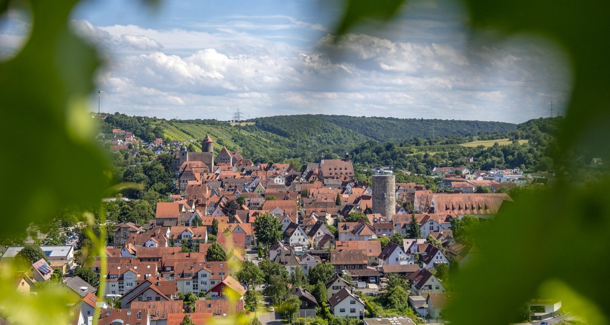 Panoramablick auf Besigheim mit roten Dächern, umgeben von grüner Landschaft und Hügeln, durch Blätter im Vordergrund eingerahmt., © Achim Mende Panoramablick auf Besigheim mit roten Dächern, umgeben von grüner Landschaft und Hügeln, durch Blätter im Vordergrund eingerahmt., © Achim Mende