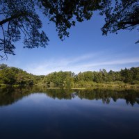Ein ruhiger See mit spiegelnder Wasseroberfläche, umgeben von grünen Bäumen unter einem klaren blauen Himmel., © Region Stuttgart