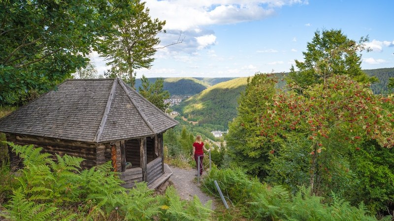 2. Globetrotter Wandertage Schwarzwald: Eine Wanderung für Singles über die Wetterfahnenhütte, © Touristik Bad Wildbad GmbH