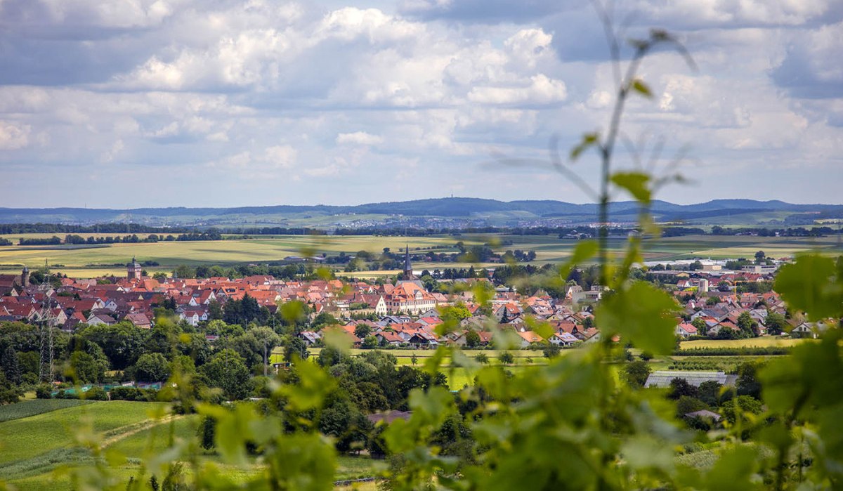 Panoramablick auf eine Stadt mit roten Dächern, umgeben von grünen Feldern und Hügeln. Im Vordergrund sind unscharfe Pflanzen zu sehen, der Himmel ist bewölkt., © Land der 1000 Hügel - Kraichgau-Stromberg