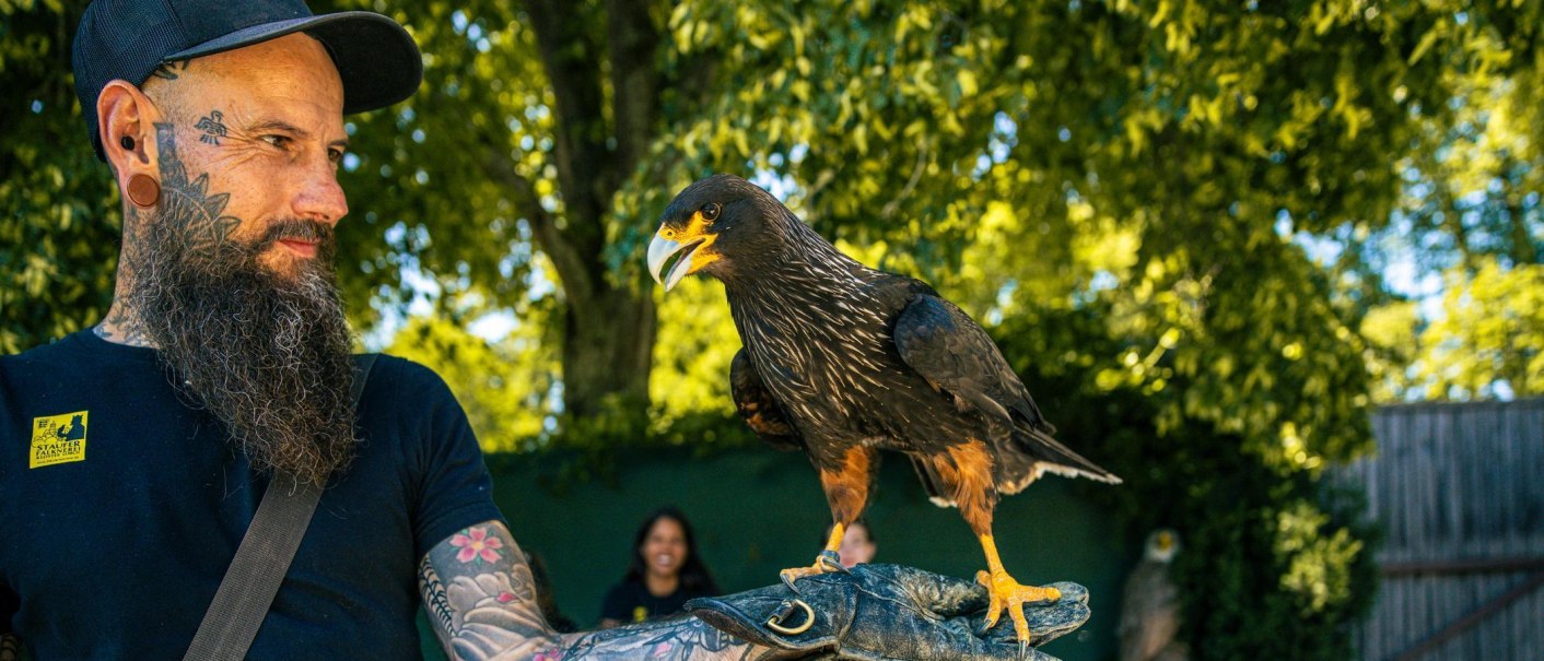 Ein tätowierter Mann hält einen Raubvogel auf seiner Hand. Im Hintergrund sind Bäume und eine weitere Person zu erkennen., © Stuttgart-Marketing GmbH, Sarah Schmid Ein tätowierter Mann hält einen Raubvogel auf seiner Hand. Im Hintergrund sind Bäume und eine weitere Person zu erkennen., © Stuttgart-Marketing GmbH, Sarah Schmid