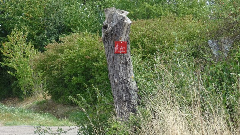 Am Naturschutzgebiet, © Foto: Cornelia Steinbach Am Naturschutzgebiet, © Foto: Cornelia Steinbach