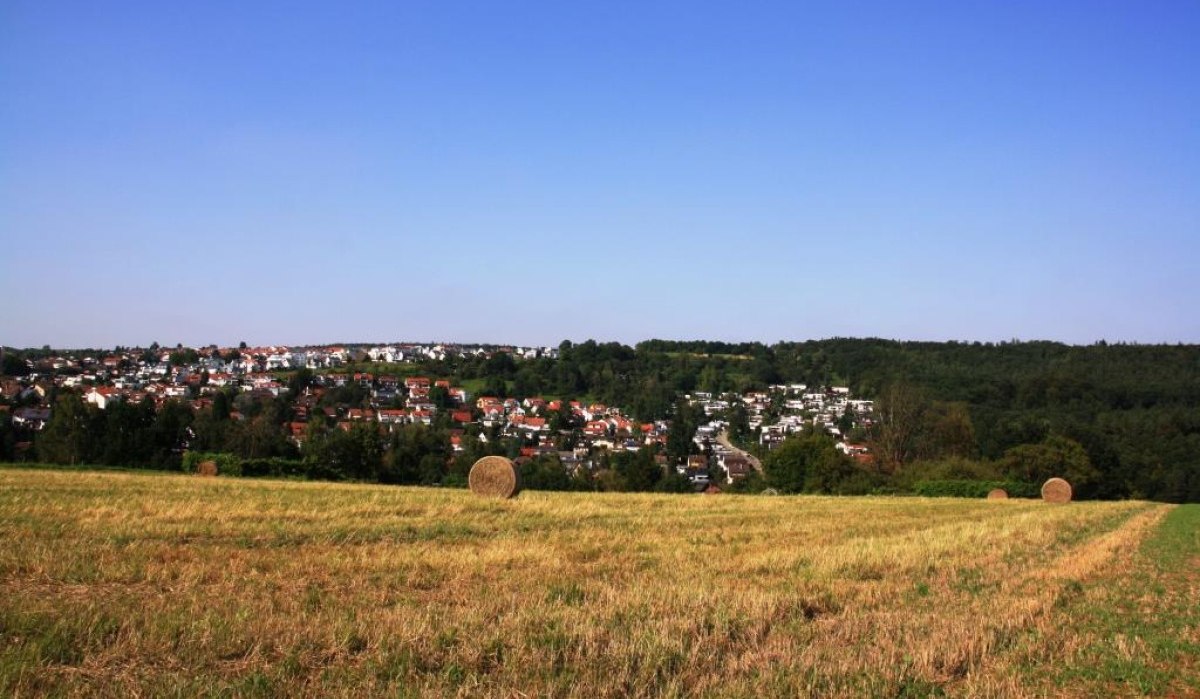 Ein Feld mit Strohballen im Vordergrund, dahinter eine Stadt mit roten Dächern und ein Wald unter klarem, blauem Himmel., © Natur.Nah. Schönbuch & Heckengäu Ein Feld mit Strohballen im Vordergrund, dahinter eine Stadt mit roten Dächern und ein Wald unter klarem, blauem Himmel., © Natur.Nah. Schönbuch & Heckengäu