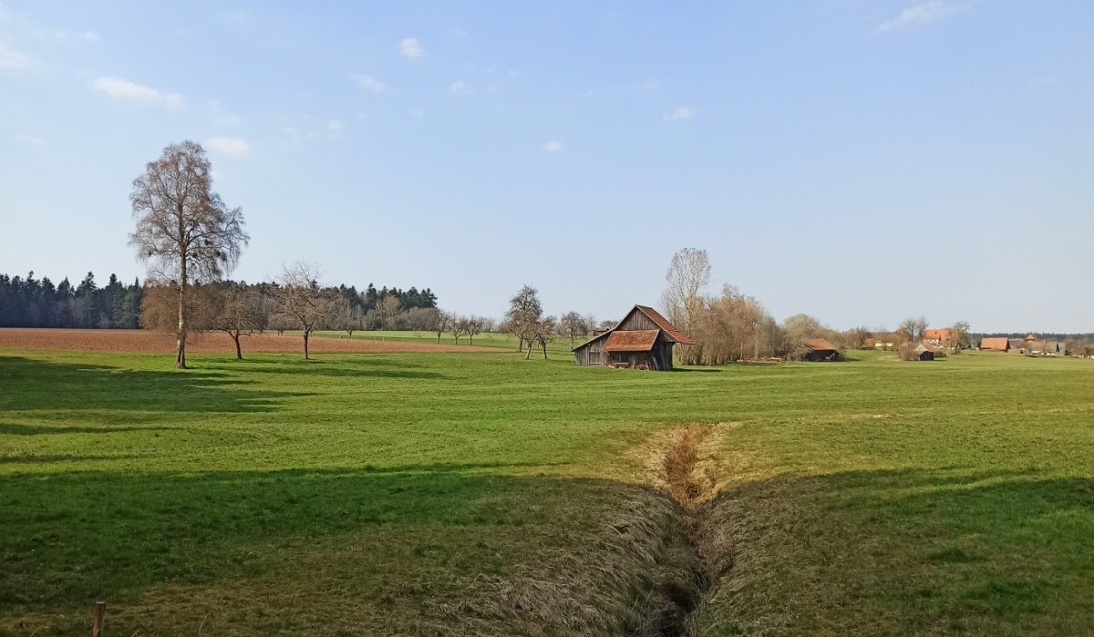 Natur pur auf der Etappe zwischen Bad Wildbach und Bad Teinach, &copy; N&ouml;rdlicher Schwarzwald