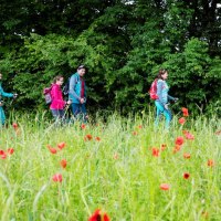Vier Wanderer in bunter Kleidung gehen über eine blühende Wiese mit roten Blumen, im Hintergrund dichter Wald., © Stadt Kirchheim unter Teck; Torsten Wenzler
