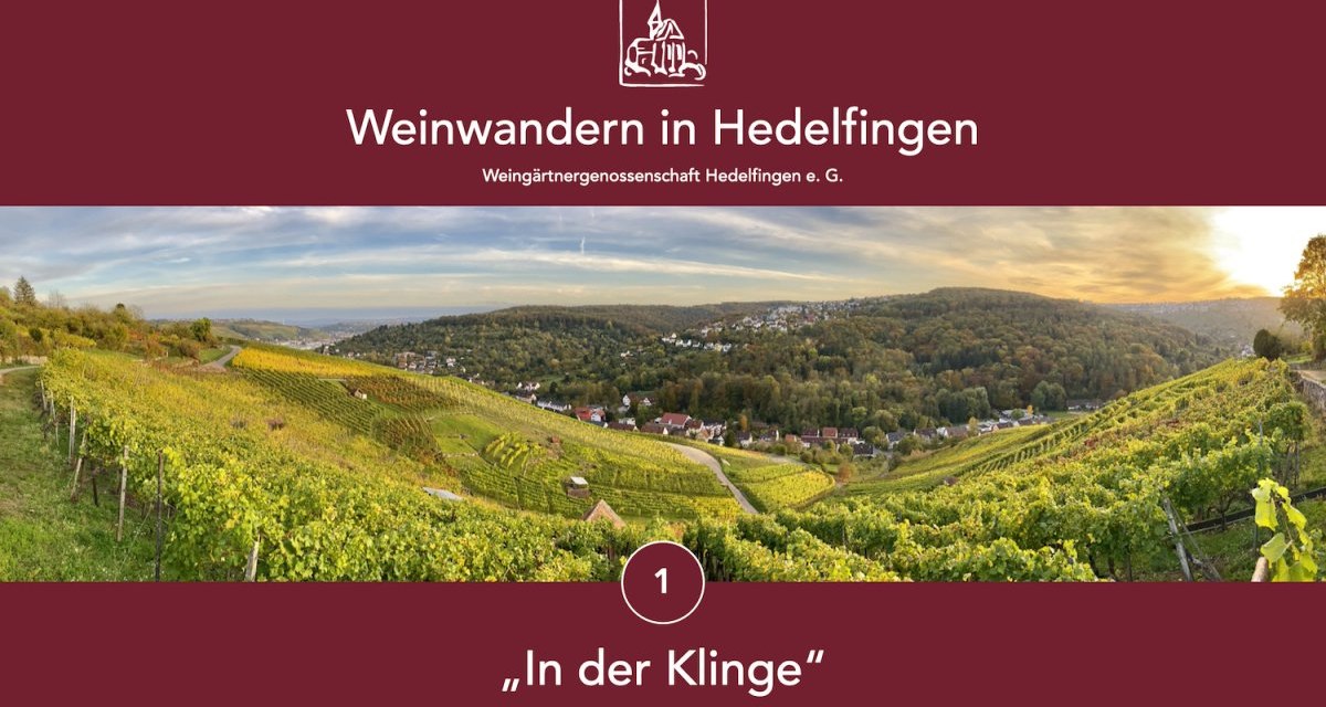 Panoramablick auf die Weinberge von Hedelfingen, umgeben von Hügeln und Häusern. Der Himmel ist leicht bewölkt, die Landschaft herbstlich grün., © Lukas Alperowitz Panoramablick auf die Weinberge von Hedelfingen, umgeben von Hügeln und Häusern. Der Himmel ist leicht bewölkt, die Landschaft herbstlich grün., © Lukas Alperowitz