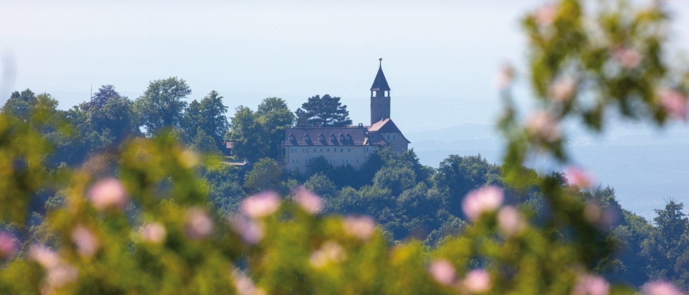 Burg Teck thront auf einem bewaldeten H&uuml;gel, umgeben von gr&uuml;nen B&auml;umen. Unscharfe Blumen im Vordergrund rahmen die Szene ein., &copy; SMG Achim Mende