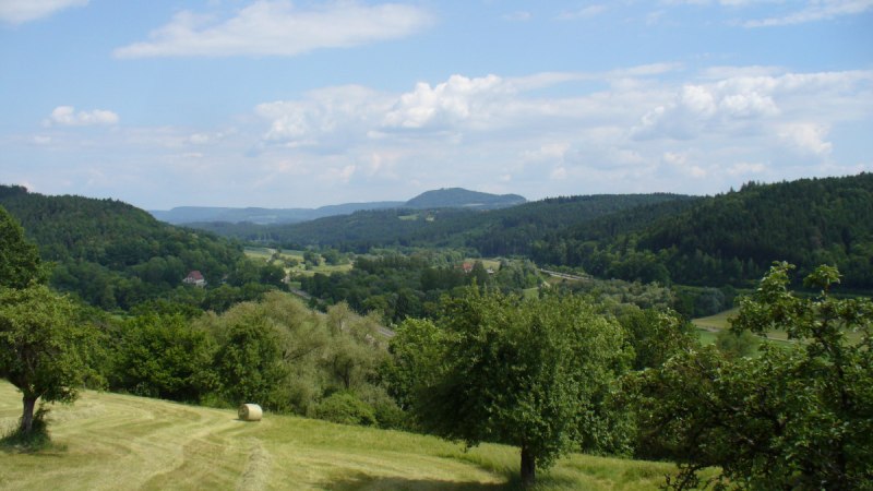 Grüne Wiesen und Bäume erstrecken sich über sanfte Hügel. Im Hintergrund sind bewaldete Hügel und ein blauer Himmel mit Wolken zu sehen., © Remstal Tourismus e.V.