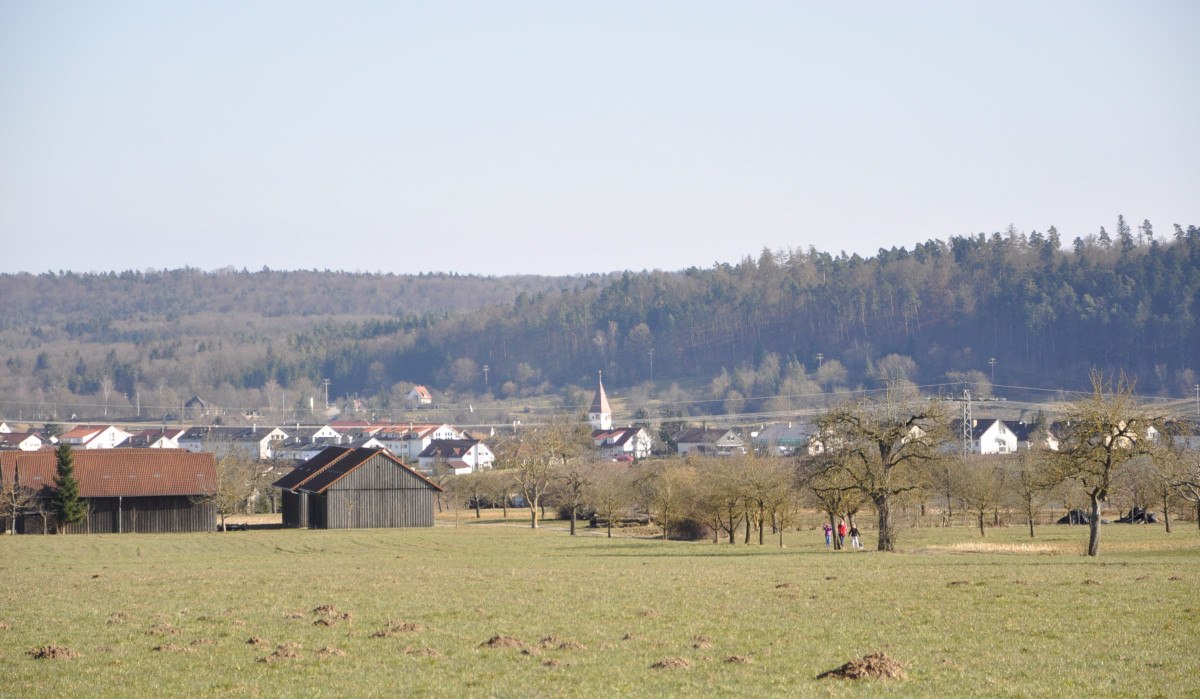 Weite Wiesenlandschaft mit vereinzelten Bäumen, im Hintergrund ein Dorf mit Kirche und Wald., © Natur.Nah. Schönbuch & Heckengäu Weite Wiesenlandschaft mit vereinzelten Bäumen, im Hintergrund ein Dorf mit Kirche und Wald., © Natur.Nah. Schönbuch & Heckengäu