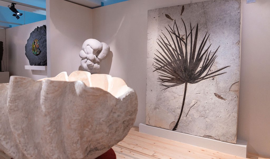 Kunstgalerie mit einer großen Muschelskulptur im Vordergrund, einem abstrakten Gemälde und einer Skulptur im Hintergrund. Beleuchtung von oben., © Tobias Tropper