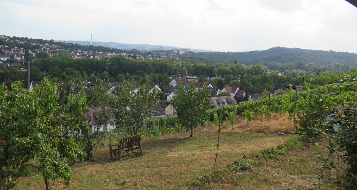 Weinberge mit einer Holzbank im Vordergrund, dahinter eine Stadt und Hügel. Der Himmel ist bewölkt, die Landschaft wirkt ruhig und idyllisch., © Stuttgart-Marketing GmbH Weinberge mit einer Holzbank im Vordergrund, dahinter eine Stadt und Hügel. Der Himmel ist bewölkt, die Landschaft wirkt ruhig und idyllisch., © Stuttgart-Marketing GmbH