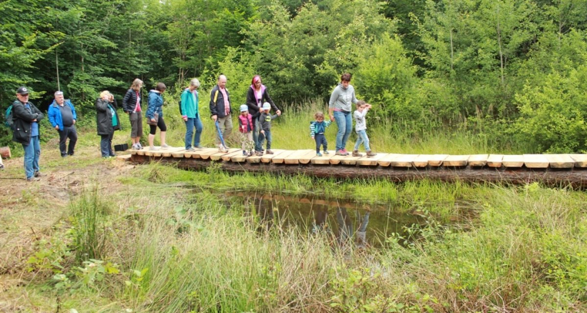 Eine Gruppe von Menschen, darunter Kinder, &uuml;berquert einen schmalen Holzsteg in einem gr&uuml;nen Waldgebiet., &copy; Amt f&uuml;r Forsten Landkreis B&ouml;blingen