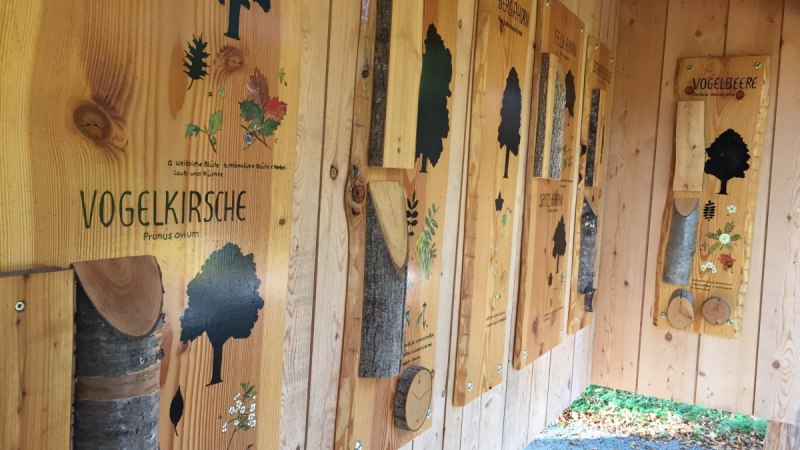 Holztafeln im Waldzentrum zeigen Informationen &uuml;ber Baumarten wie Vogelkirche und Esche. Jede Tafel enth&auml;lt Illustrationen und Baumrinden., &copy; Stadtmarketing Sindelfingen