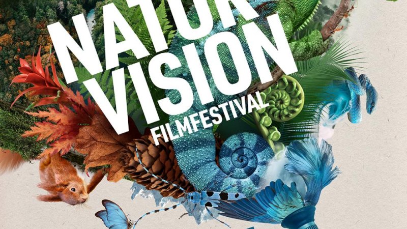 NaturVision Filmfestival 2025, © NaturVision Ludwigsburg gGmbH NaturVision Filmfestival 2025, © NaturVision Ludwigsburg gGmbH