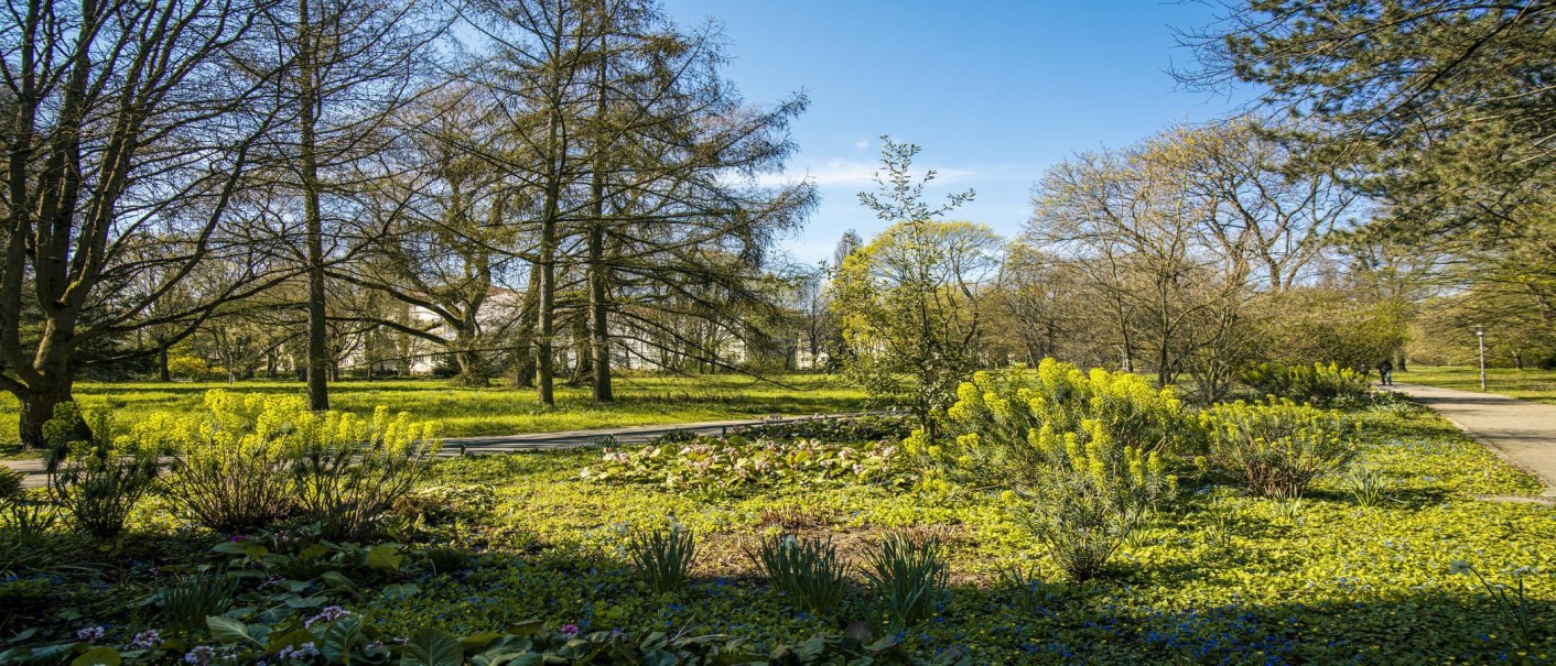 Ein grüner Park mit Bäumen, blühenden Pflanzen und einem Weg. Der Himmel ist blau und klar., © SMG, Sarah Schmid Ein grüner Park mit Bäumen, blühenden Pflanzen und einem Weg. Der Himmel ist blau und klar., © SMG, Sarah Schmid