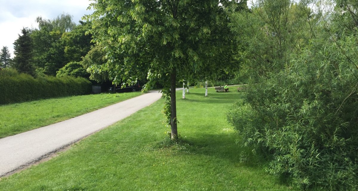 Ein schmaler Weg schlängelt sich durch eine grüne Parklandschaft mit Bäumen und Büschen. Im Hintergrund sind Bänke zu sehen., © www.pro-cycl.de Ein schmaler Weg schlängelt sich durch eine grüne Parklandschaft mit Bäumen und Büschen. Im Hintergrund sind Bänke zu sehen., © www.pro-cycl.de