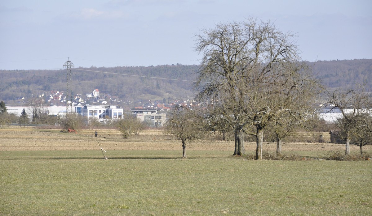 Weite Wiesenlandschaft mit kahlen Bäumen im Vordergrund und einem Dorf in der Ferne, umgeben von Hügeln., © Natur.Nah. Schönbuch & Heckengäu Weite Wiesenlandschaft mit kahlen Bäumen im Vordergrund und einem Dorf in der Ferne, umgeben von Hügeln., © Natur.Nah. Schönbuch & Heckengäu