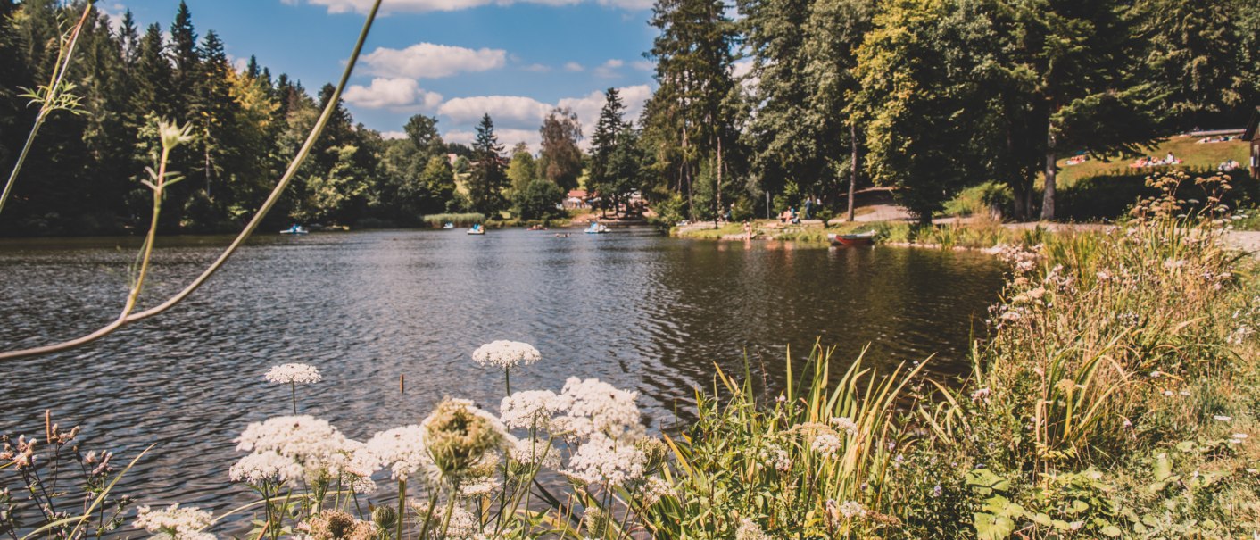 Ein idyllischer See mit weißen Blüten im Vordergrund, umgeben von Bäumen und einem blauen Himmel mit Wolken. Menschen entspannen am Ufer., © Stadt Welzheim