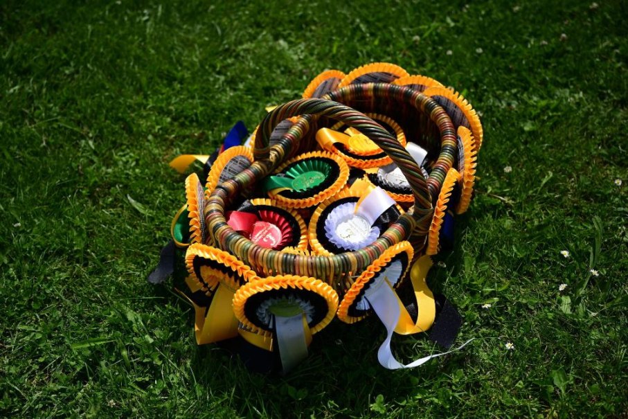 29. Ludwigsburger Dressurturnier, 12.-14. Juni 2026 &ndash; Schlossdom&auml;ne Monrepos, &copy; &copy; Knut G&auml;rtner | hangarsieben.de