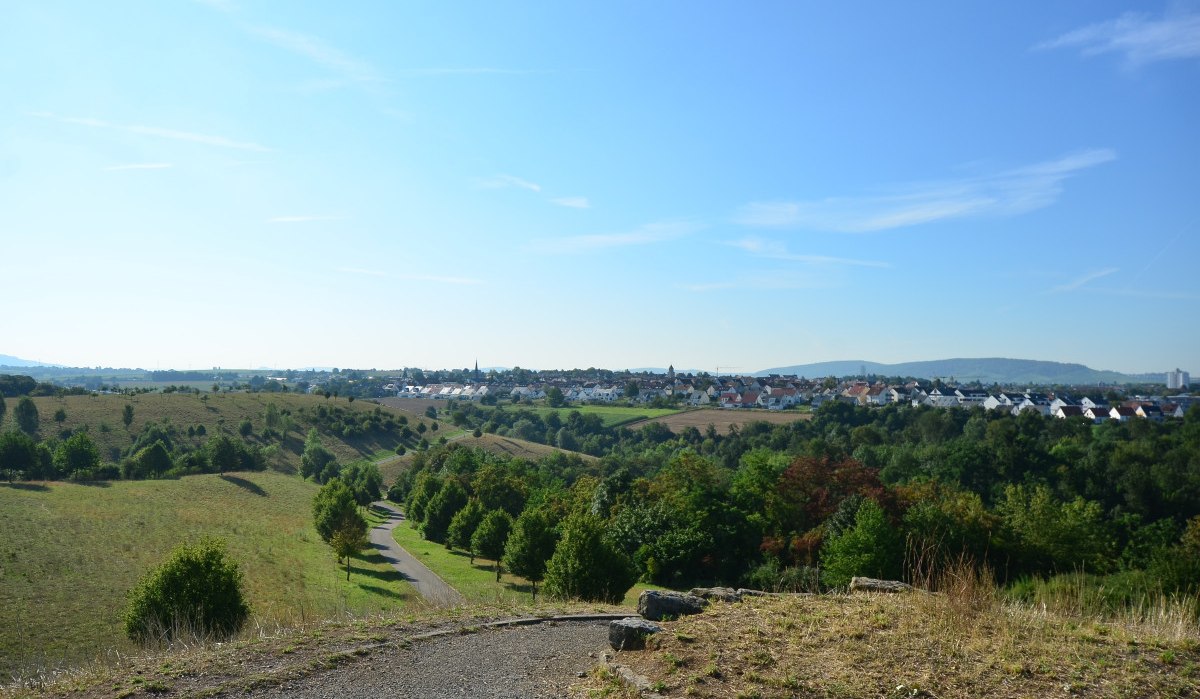Panoramablick vom Oeffinger Berg auf eine grüne Landschaft mit Wiesen, Bäumen und einer Siedlung im Hintergrund unter klarem, blauem Himmel., © Fellbach Tourismus