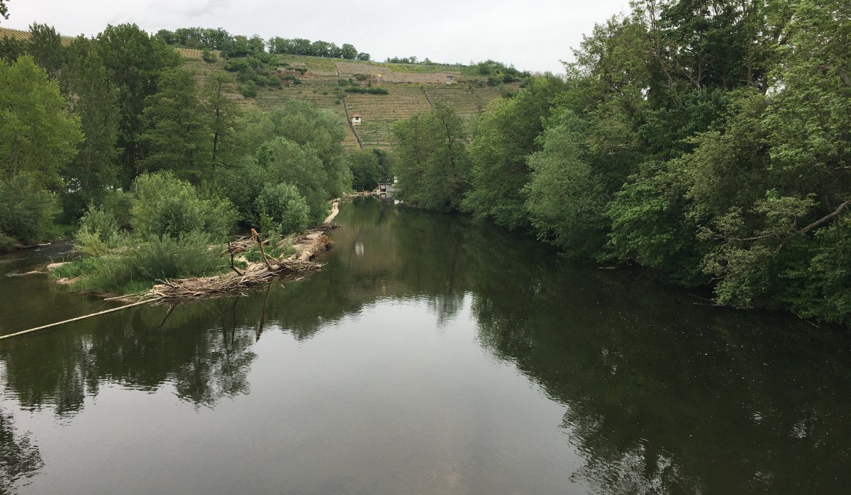 Ein ruhiger Fluss fließt durch eine grüne Landschaft, umgeben von Bäumen. Im Hintergrund sind Weinberge zu sehen., © Land der 1000 Hügel - Kraichgau-Stromberg Ein ruhiger Fluss fließt durch eine grüne Landschaft, umgeben von Bäumen. Im Hintergrund sind Weinberge zu sehen., © Land der 1000 Hügel - Kraichgau-Stromberg