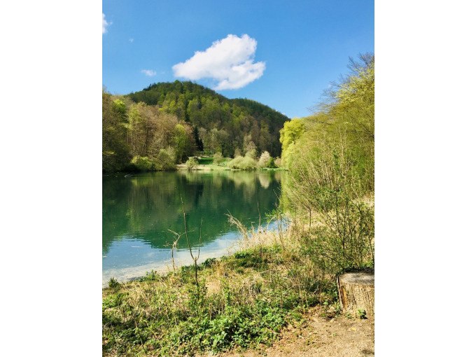 Kräuterwanderung mit Wildpflanzenpädagogin Gaby Schmid, © Kurverwaltung Bad Urach Kräuterwanderung mit Wildpflanzenpädagogin Gaby Schmid, © Kurverwaltung Bad Urach