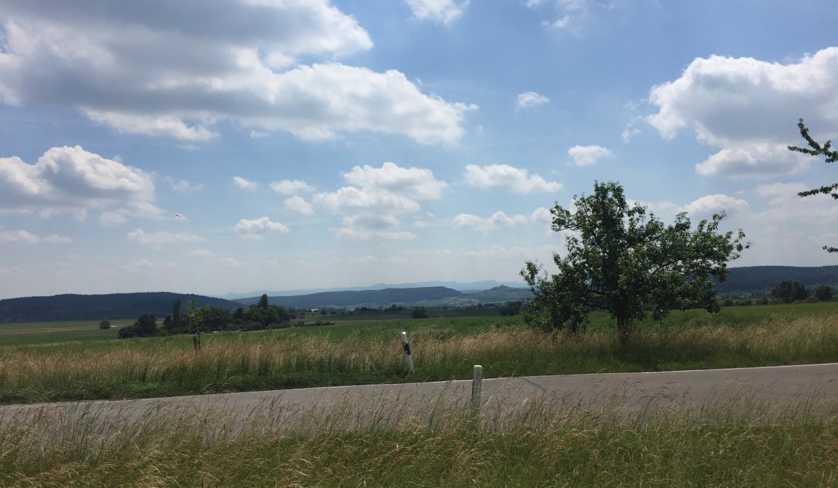 Weite Landschaft mit Wiese, einem Baum und einer Straße. Der Himmel ist blau mit weißen Wolken. Im Hintergrund sind Hügel zu sehen., © www.pro-cycl.de