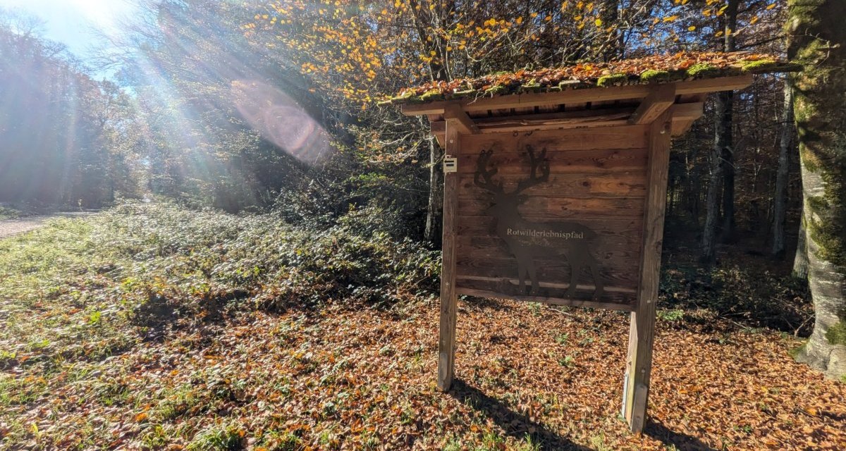 © Natur.Nah. Schönbuch & Heckengäu © Natur.Nah. Schönbuch & Heckengäu