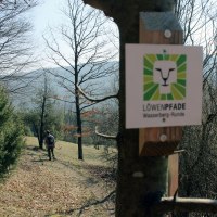 Ein Wanderer auf einem Waldweg, umgeben von kahlen Bäumen. Ein Schild der Löwenpfade Wasserberg-Runde ist an einem Baum befestigt., © Landkreis Göppingen