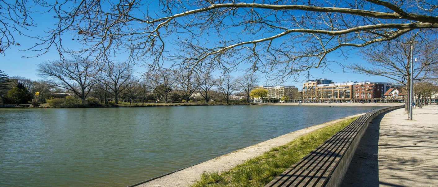 Ufer des Unteren Sees in Böblingen, gesäumt von kahlen Bäumen. Im Hintergrund sind Gebäude zu sehen, der Himmel ist klar und blau., © SMG, Sarah Schmid Ufer des Unteren Sees in Böblingen, gesäumt von kahlen Bäumen. Im Hintergrund sind Gebäude zu sehen, der Himmel ist klar und blau., © SMG, Sarah Schmid
