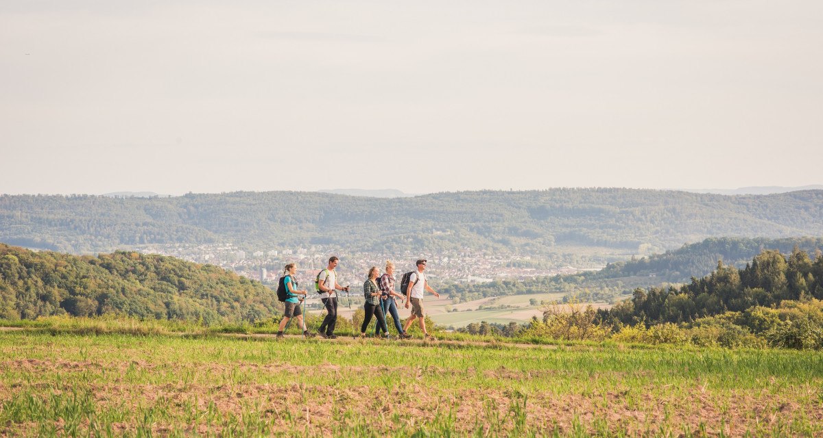 F&uuml;nf Wanderer auf einem H&ouml;henweg mit Blick auf eine weite, gr&uuml;ne Landschaft und H&uuml;gel im Hintergrund.