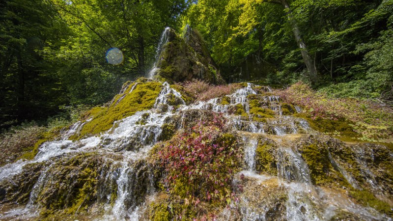 Der G&uuml;tersteiner Wasserfall flie&szlig;t &uuml;ber moosbewachsene Felsen, umgeben von dichtem, gr&uuml;nem Wald. Sonnenlicht f&auml;llt durch die B&auml;ume., &copy; Bad Urach Tourismus