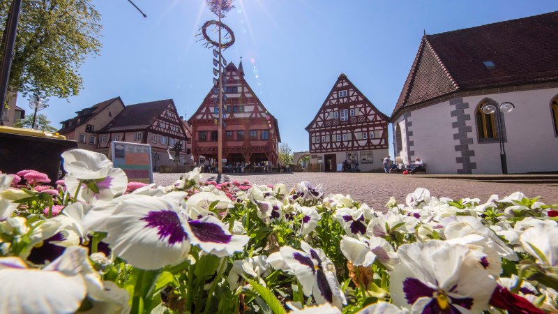 Blumen im Vordergrund, dahinter Fachwerkhäuser und ein Maibaum unter strahlendem Sonnenschein in Plochingen., © Stuttgart-Marketing GmbH, Achim Mende