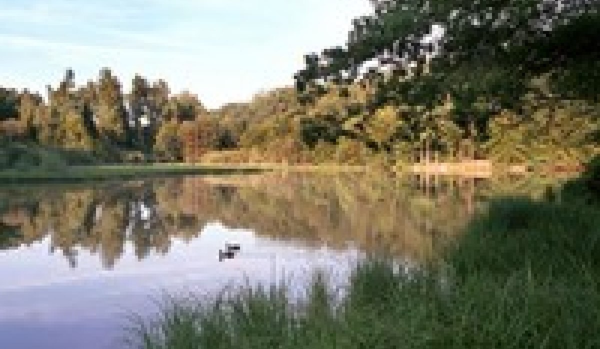 Ein ruhiger See mit grünen Bäumen im Hintergrund. Eine Ente schwimmt auf dem Wasser, umgeben von Gras am Ufer., © http://www.magstadt.de/Hoelzersee_rdax_200x150.jpg
