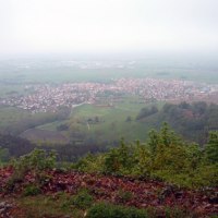Blick von einem Hügel auf eine Stadt in der Ferne, umgeben von grünen Feldern und Bäumen. Der Himmel ist bewölkt und neblig., © Schwäbische Alb Tourismusverband e.V.
