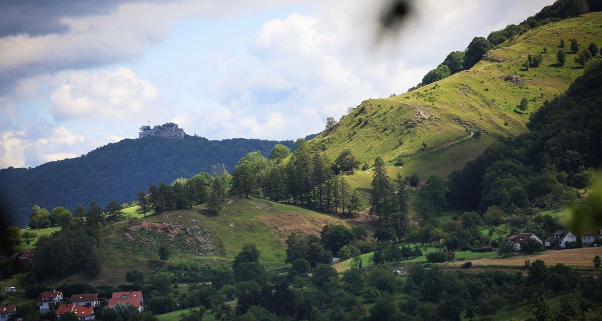 Grüne Hügel mit Bäumen und Häusern im Vordergrund, eine Burg auf einem bewaldeten Berg im Hintergrund unter bewölktem Himmel. Grüne Hügel mit Bäumen und Häusern im Vordergrund, eine Burg auf einem bewaldeten Berg im Hintergrund unter bewölktem Himmel.