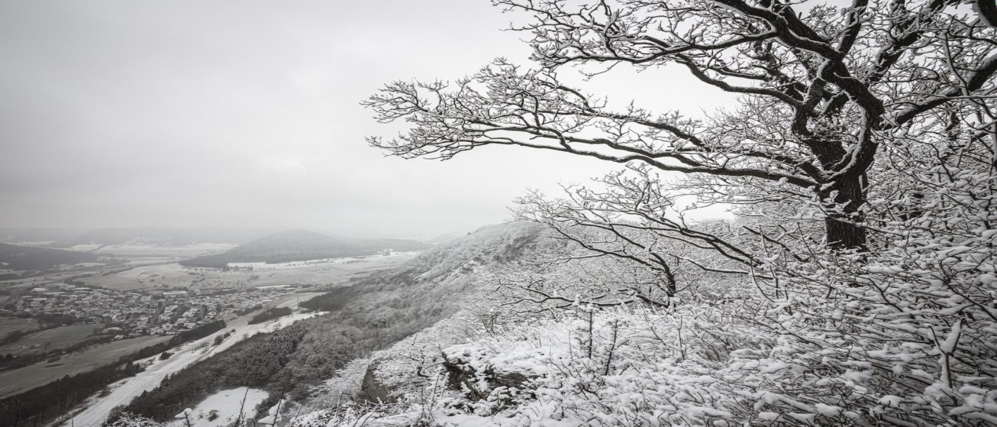 Schneebedeckte Bäume im Vordergrund, mit Blick auf ein weites Tal und eine verschneite Landschaft in der Ferne., © SMG, Sarah Schmid