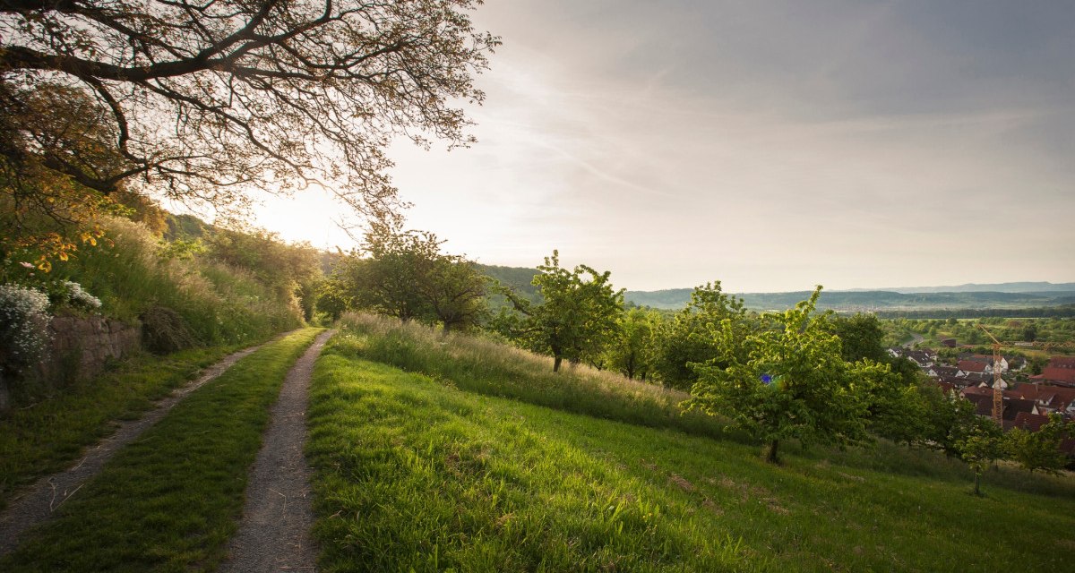 Ein schmaler Weg schlängelt sich durch eine grüne Landschaft mit Bäumen. Im Hintergrund ist ein Dorf im Tal zu sehen, beleuchtet von der Abendsonne., © Natur.Nah. Schönbuch & Heckengäu Ein schmaler Weg schlängelt sich durch eine grüne Landschaft mit Bäumen. Im Hintergrund ist ein Dorf im Tal zu sehen, beleuchtet von der Abendsonne., © Natur.Nah. Schönbuch & Heckengäu