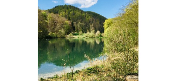 Kräuterwanderung mit Wildpflanzenpädagogin Gaby Schmid