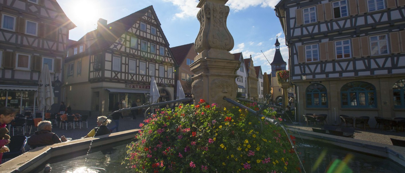Der Marktbrunnen in Winnenden mit bunten Blumen, umgeben von Fachwerkhäusern. Die Sonne scheint hell und erzeugt Lichtreflexe im Wasser., © SMG, Achim Mende Der Marktbrunnen in Winnenden mit bunten Blumen, umgeben von Fachwerkhäusern. Die Sonne scheint hell und erzeugt Lichtreflexe im Wasser., © SMG, Achim Mende