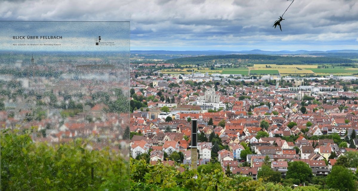 Panoramablick &uuml;ber Fellbach mit einem verregneten Informationsschild im Vordergrund. Die Stadt erstreckt sich unter einem bew&ouml;lkten Himmel., &copy; Remstal Tourismus e.V.