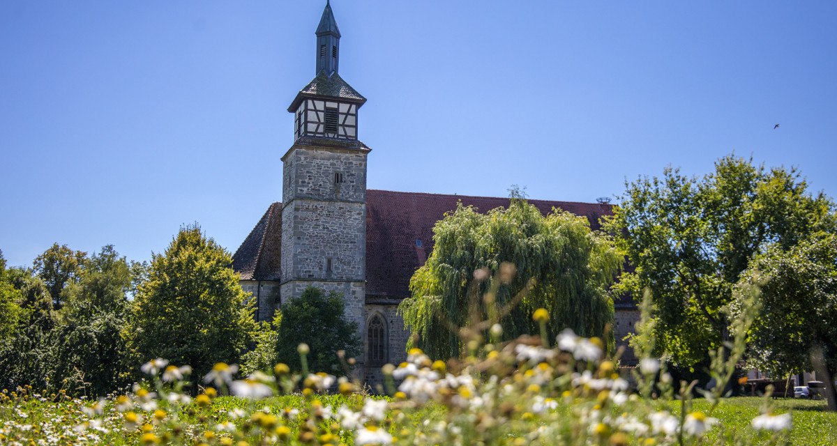 Kirchturm des Hofgut Mauren, umgeben von grünen Bäumen und einer blühenden Wiese unter klarem, blauem Himmel., © Region Stuttgart