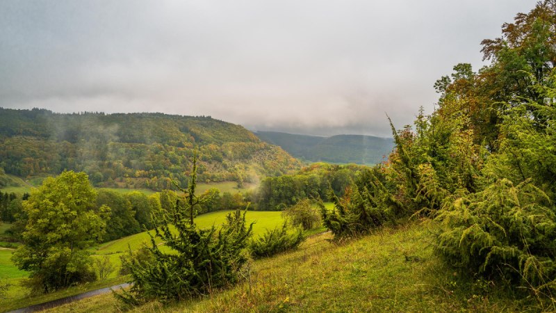 Kaltes Feld Schwäbisch Gmünd 3 (c) Remstal Tourismus e.V., Heiko Potthoff Kaltes Feld Schwäbisch Gmünd 3 (c) Remstal Tourismus e.V., Heiko Potthoff