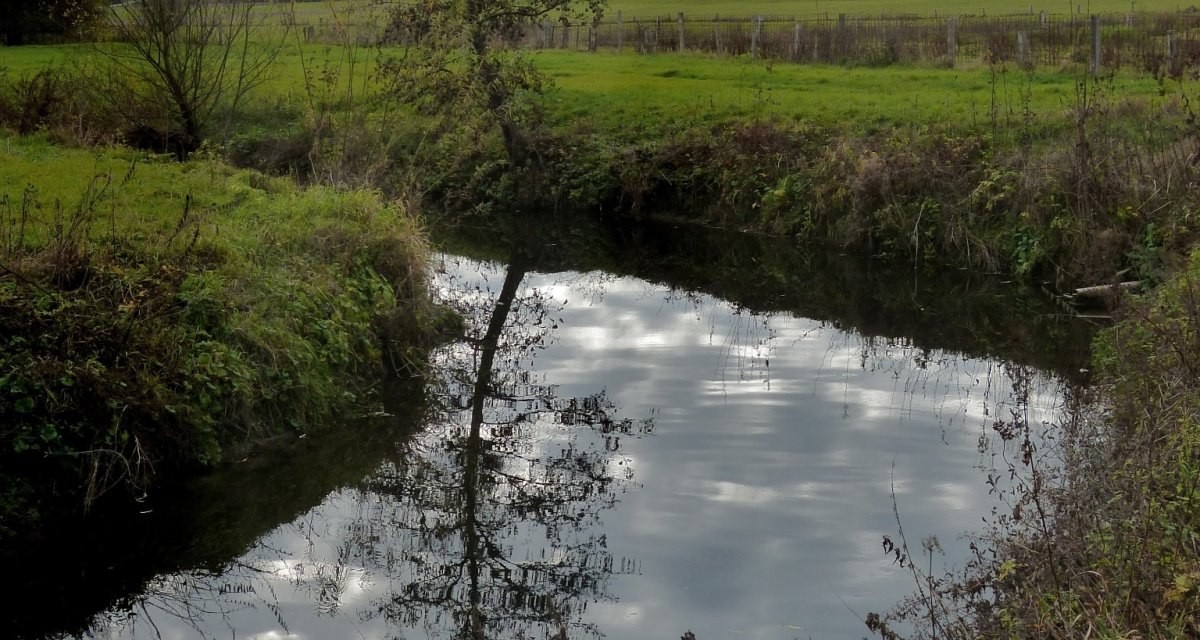 Ein ruhiger Fluss in einer grünen Landschaft mit einem Baum am Ufer und bewaldeten Hügeln im Hintergrund. Der Himmel ist bewölkt., © Natur.Nah. Schönbuch & Heckengäu Ein ruhiger Fluss in einer grünen Landschaft mit einem Baum am Ufer und bewaldeten Hügeln im Hintergrund. Der Himmel ist bewölkt., © Natur.Nah. Schönbuch & Heckengäu