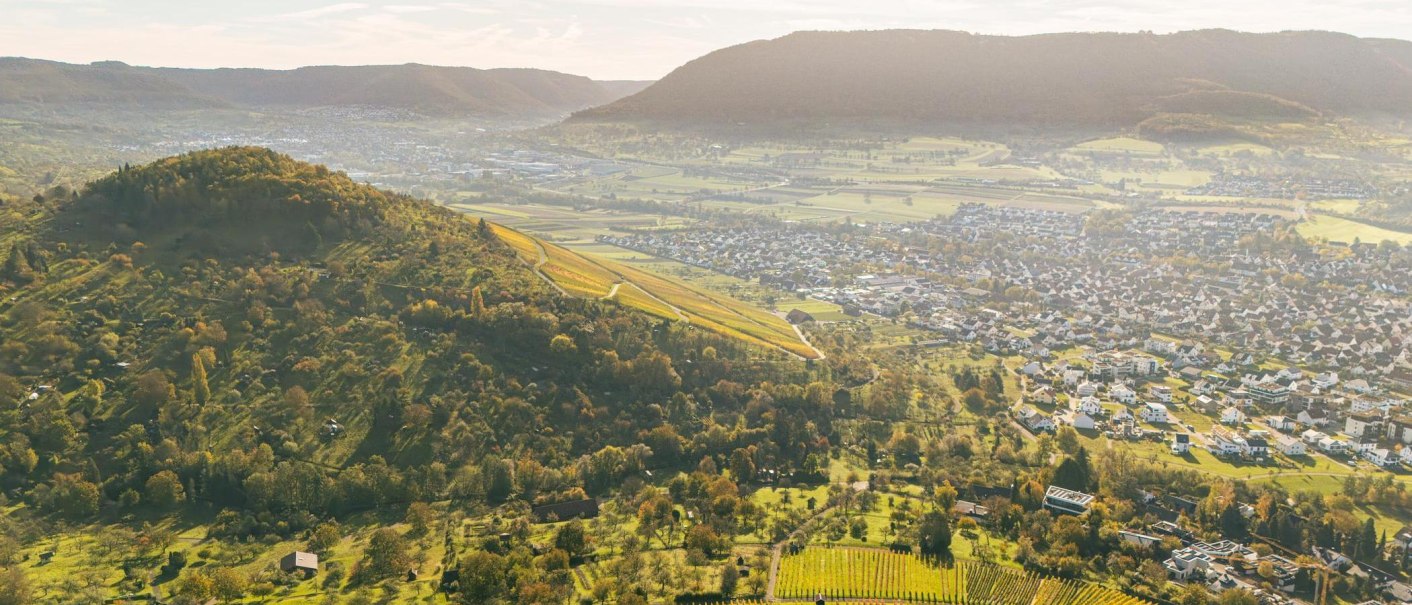 Luftaufnahme von Metzingen, umgeben von gr&uuml;nen H&uuml;geln und Weinbergen. Die Stadt erstreckt sich in einem Tal mit vielen H&auml;usern und Feldern., &copy; SMG, Sarah Schmid
