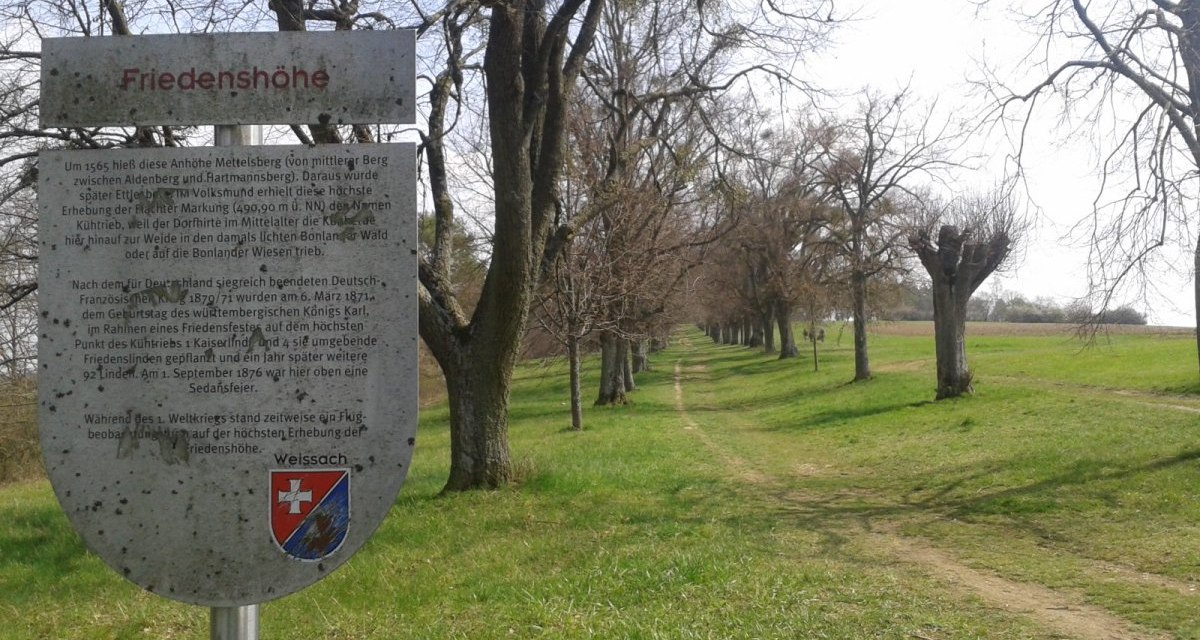 Schild mit der Aufschrift 'Friedenshöhe' vor einer Baumallee auf einem Feldweg. Der Weg führt durch eine grüne Landschaft., © Natur.Nah. Schönbuch & Heckengäu Schild mit der Aufschrift 'Friedenshöhe' vor einer Baumallee auf einem Feldweg. Der Weg führt durch eine grüne Landschaft., © Natur.Nah. Schönbuch & Heckengäu