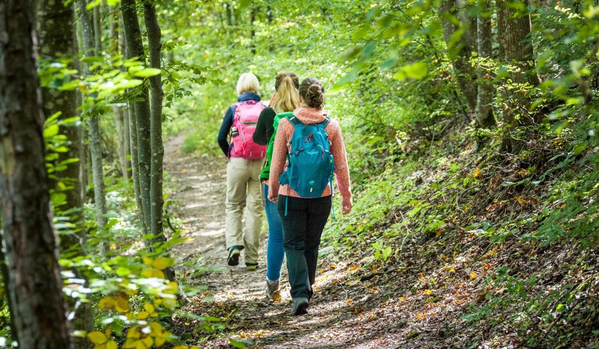 Wandern auf Pfaden, &copy; hochgehberge