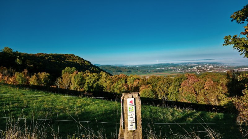 Blick von der Maierhalde über eine grüne Landschaft mit Hügeln und Bäumen, im Hintergrund eine Stadt unter klarem, blauem Himmel., © Landkreis Göppingen Blick von der Maierhalde über eine grüne Landschaft mit Hügeln und Bäumen, im Hintergrund eine Stadt unter klarem, blauem Himmel., © Landkreis Göppingen